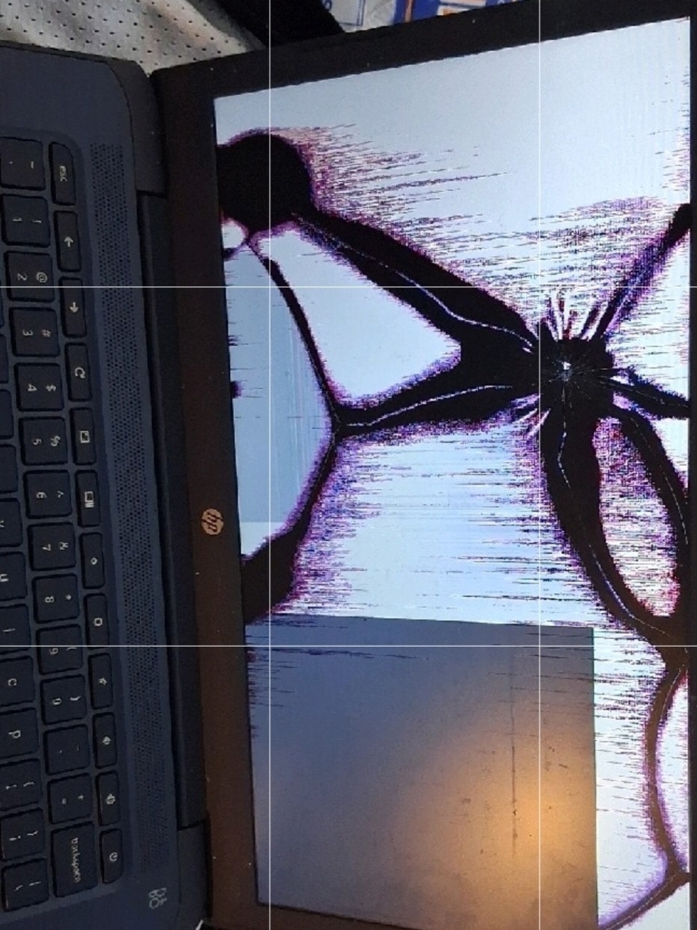 HP Chrome Laptop with Black and Purple Screen Damage/ Easy Fix Or Use For Parts